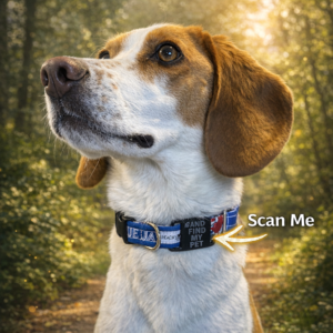SureTag™ Smart Pet ID Tag – NFC Digital Pet Profile (No Subscription)