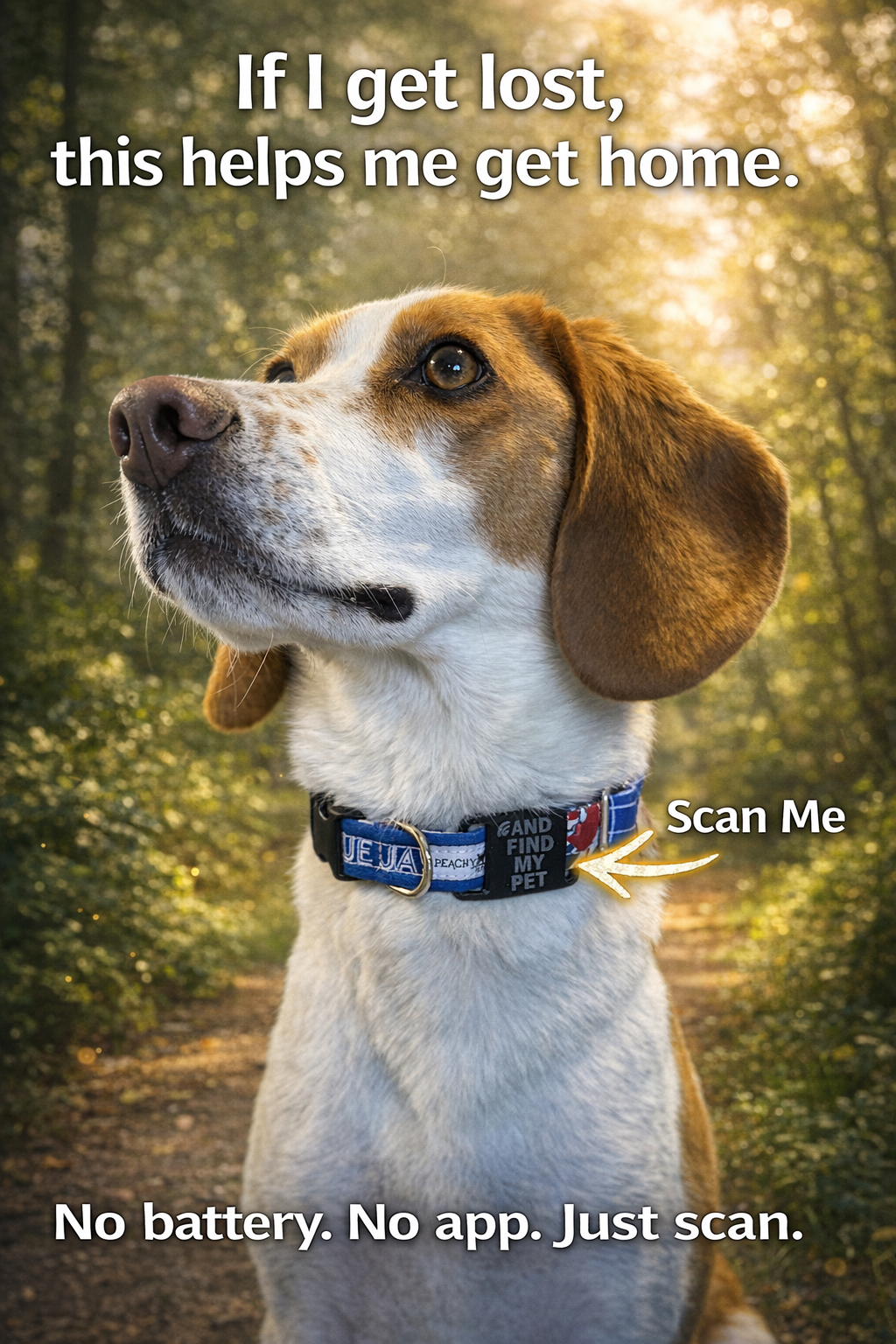 SureTag™ Smart Pet ID Tag – NFC Digital Pet Profile (No Subscription)