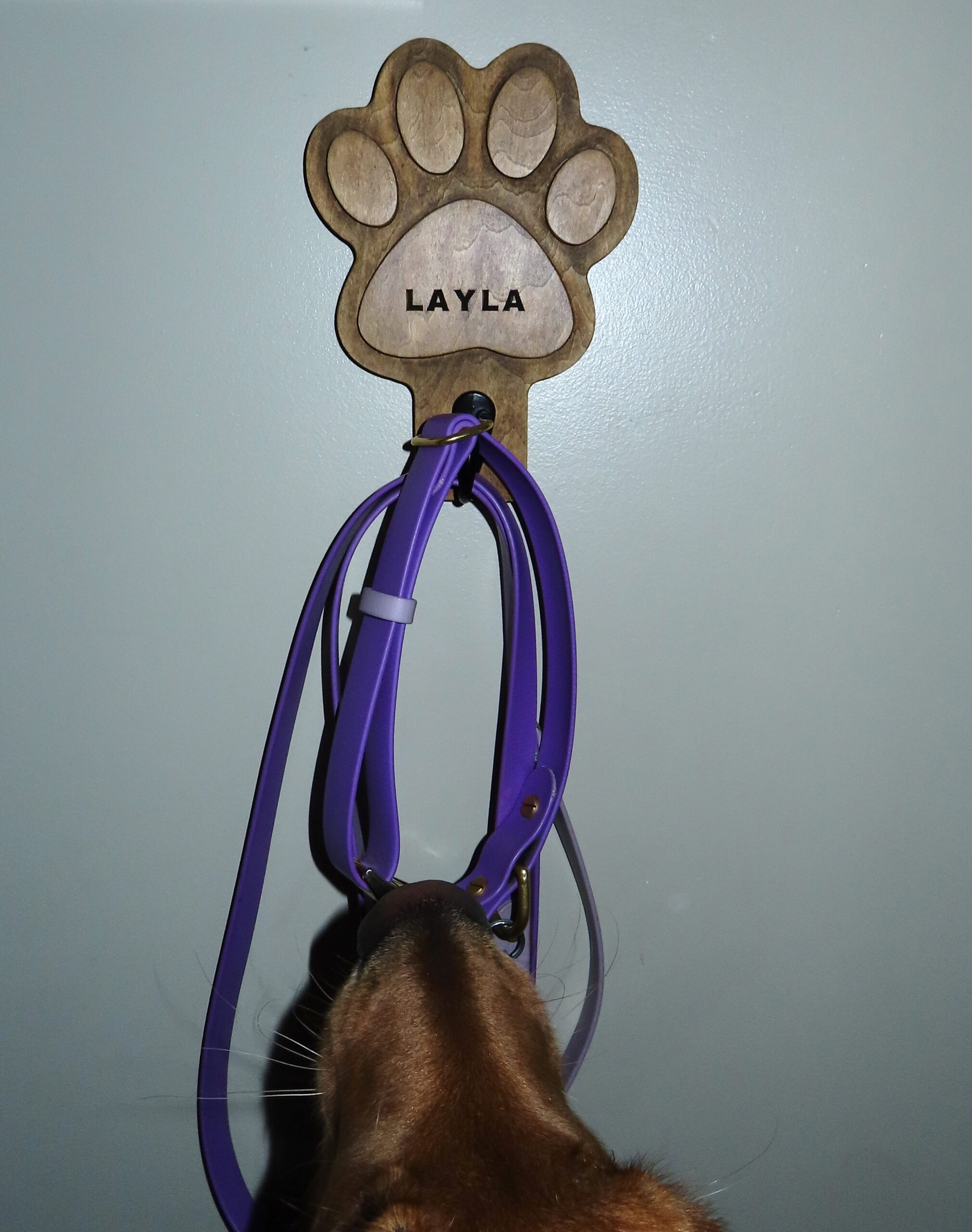Paw Print Dog Leash Holder – Solid Wood Wall Rack - Image 8
